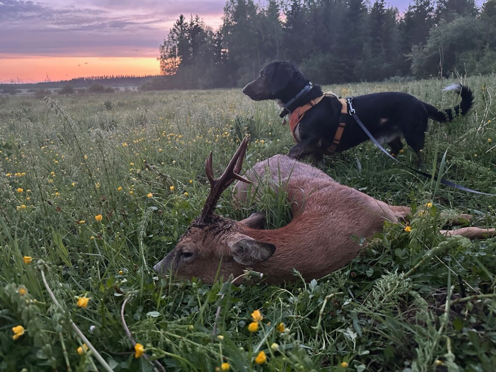 Metsästys sarja VOITTAJA. Kuvaaja: Tero Syrjälä