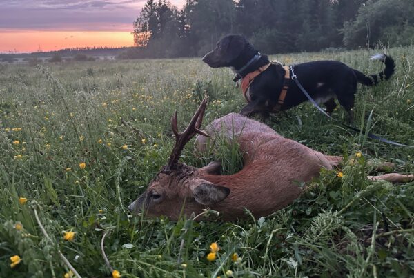 Metsästys sarja VOITTAJA. Kuvaaja: Tero Syrjälä